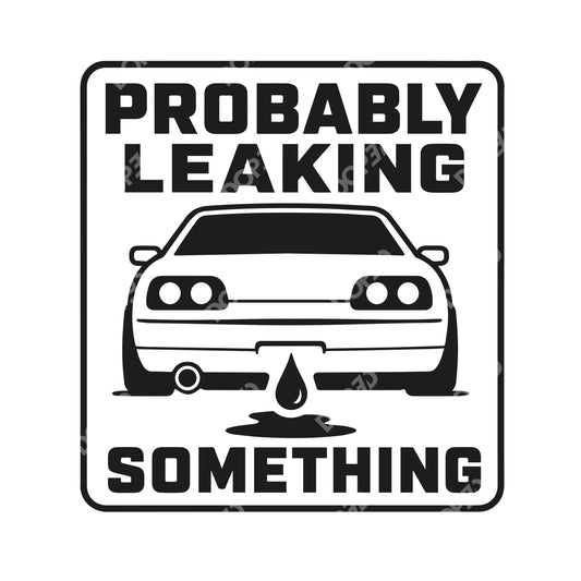 // probbly leaking